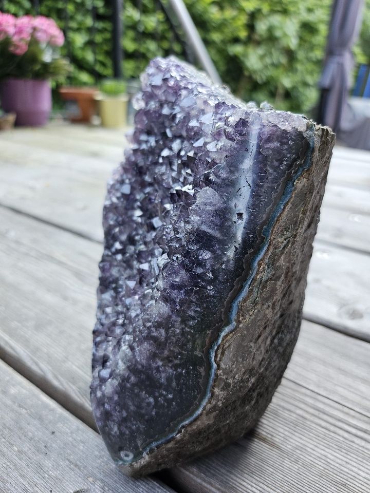 Amethyst Druse in Glückstadt