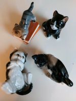 4 Kätzchen aus Porzellan. Katzen. Tilia. Bone China. Diverse. Hessen - Wöllstadt Vorschau