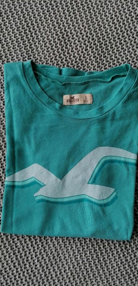 Hollister T-Shirt Logo türkis Gr S in Wasserlosen