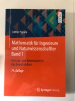 Mathematik für Ingenieure und Naturwissenschaftler Band 1 Nordrhein-Westfalen - Bad Salzuflen Vorschau