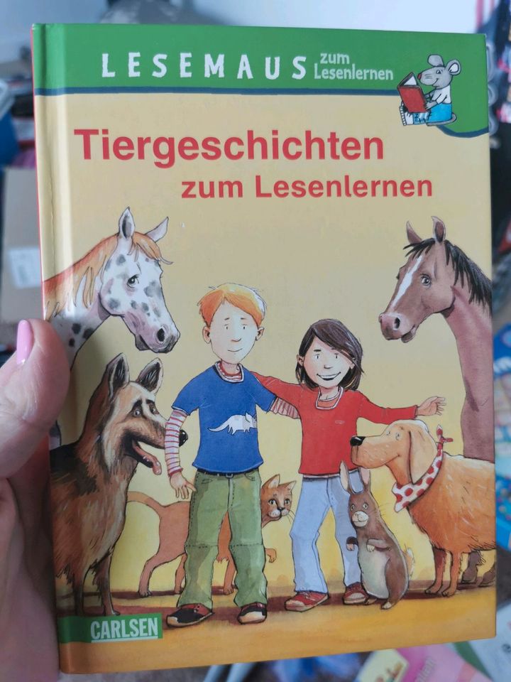 Bibi und tina Bücher in Schloß Holte-Stukenbrock