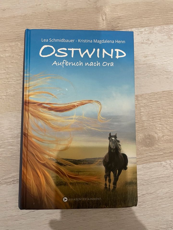 Ostwind Buch -Aufbruch nach Ora- in Nienhagen