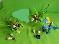 Playmobil Drachen Baden-Württemberg - Ettlingen Vorschau