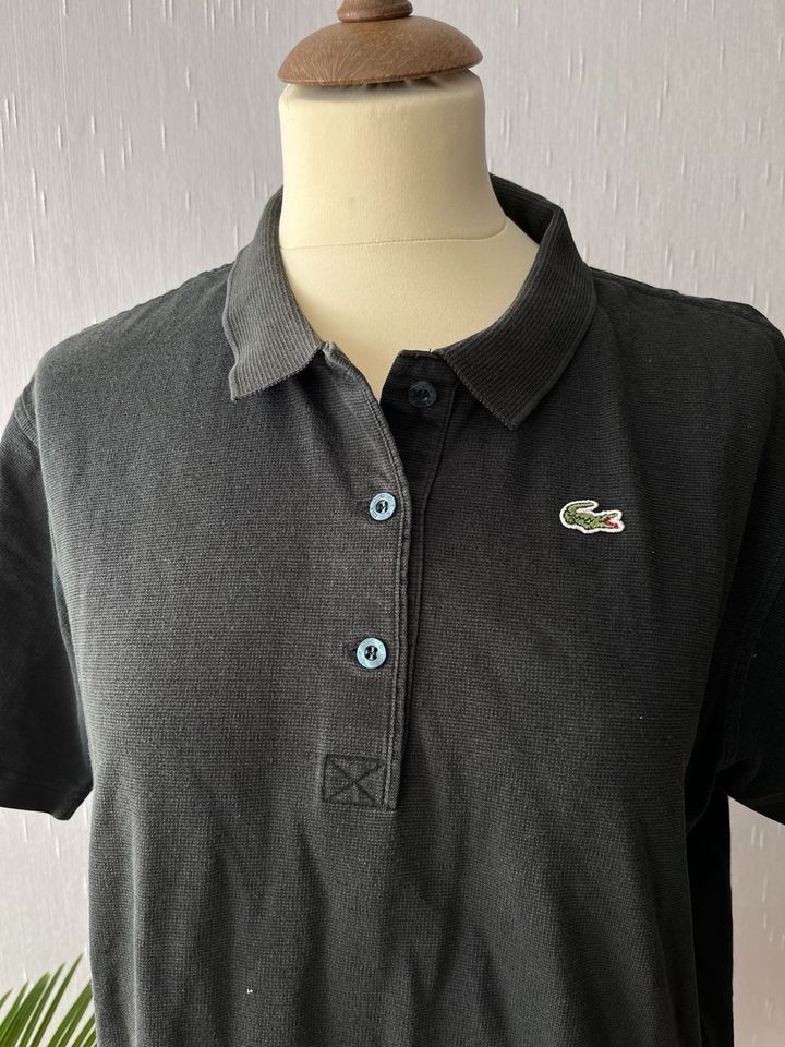 Lacoste Damen Polo Shirt Gr. 44 in Bremen