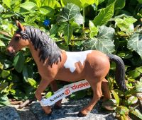 Schleich 72138 Pinto Stute (Exclusive) Blumenthal - Farge Vorschau