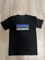 Patagonia T-Shirt Baden-Württemberg - Oberriexingen Vorschau