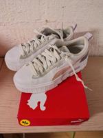 Puma Sneaker Bayern - Schwabach Vorschau