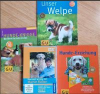 Hunde Welpen Erziehung Bücher DVD Bayern - Wiesent Vorschau