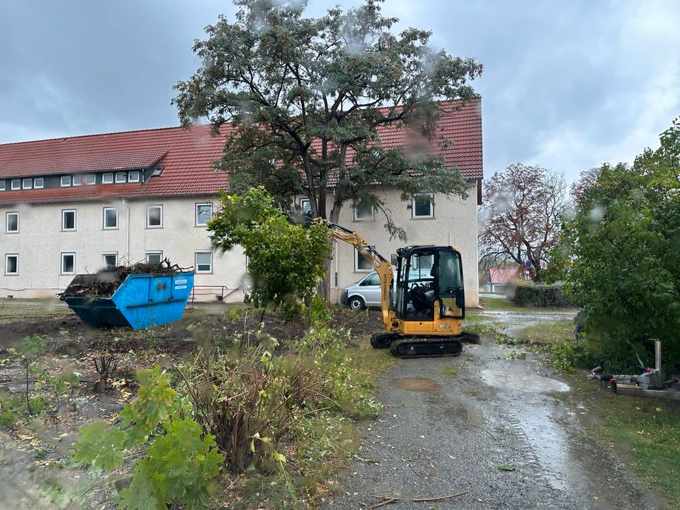 Minibagger mieten in Sachsenburg