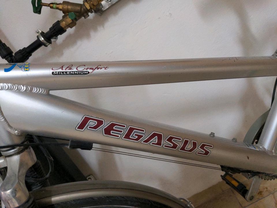 Pegasus Damenfahrrad Rad in Beilngries