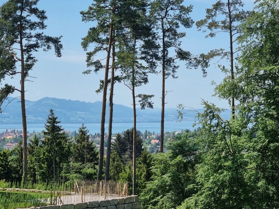 KfW40+ Doppelhaushälfte mit Seeblick! in Lindau