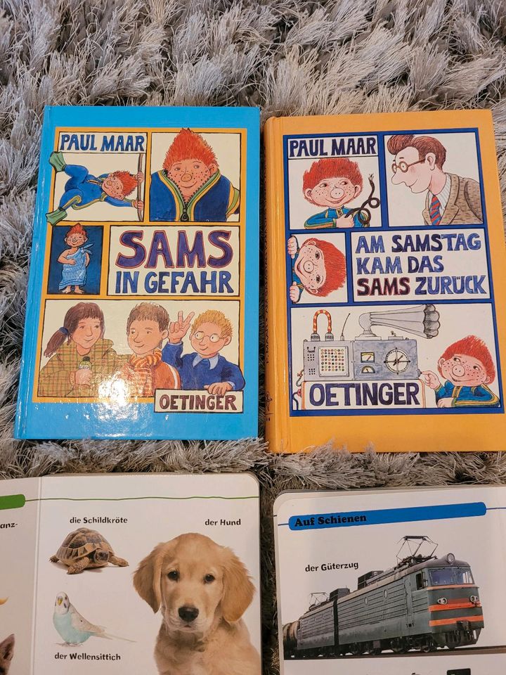 Kinderbücher Sams Regenbogenfisch Winnie Pooh Babybuch Hör mal in Berlin