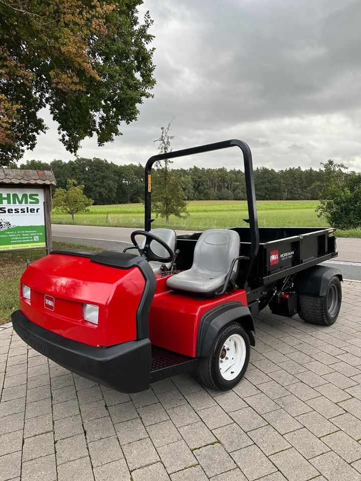 Toro Workman HDX 4WD Transportfahrzeug Gator in Weidenbach