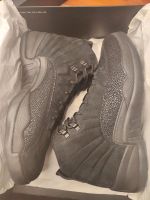 Air Jordan 12 OVO black Drake 44 US10  neu Stuttgart - Stuttgart-West Vorschau