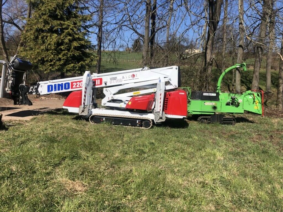 Baumfällung, Stubbenfräsen, Häcksel arbeiten, Holzspalten in Pirna