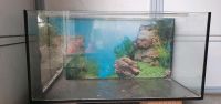 Aquarium / Glassbecken / Fishtank ca. 90 L Baden-Württemberg - Bad Säckingen Vorschau