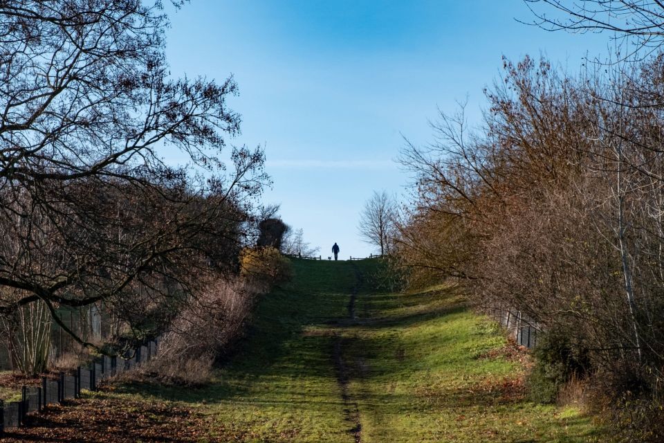 Bauen im Grünen: Ihr Baugrundstück für Wohnträume inmitten von Bohnsdorfs Natur in Berlin