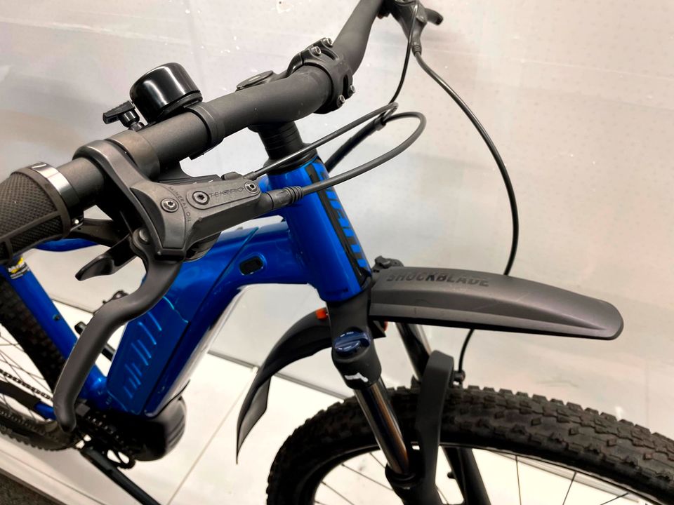 GIANT FATHOM E-Bike Ebike MTB 29 Zoll Yamaha Motor 9 Gang in Wunstorf