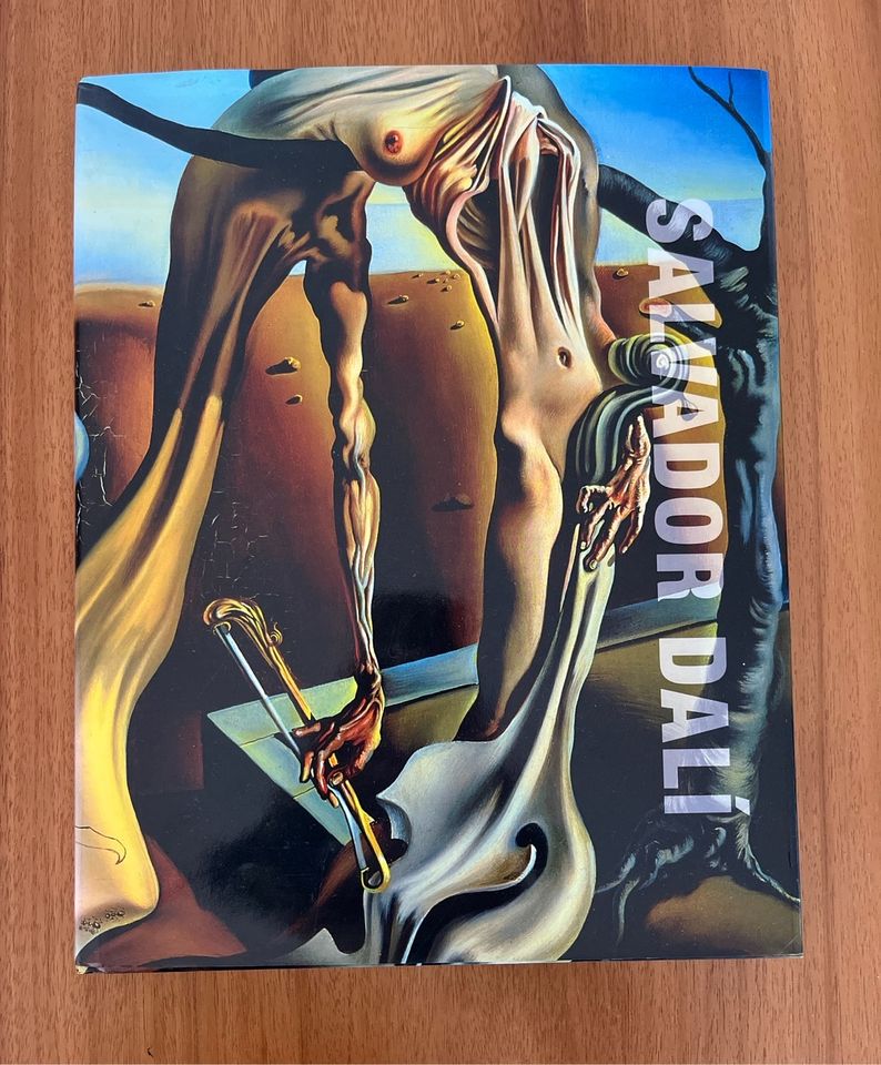 Buch Salvador Dali Kunst Bildband in Donauwörth