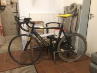 Rennrad, gravelbike, Mtb, Commuter, urban, Herrenrad, mountainbik Nordrhein-Westfalen - Borken Vorschau