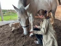 Mobile Tierphysiotherapie / Tierosteopathie für Hund und Pferd Nordrhein-Westfalen - Windeck Vorschau