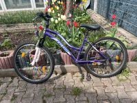 Fahrrad lila Bayern - Weiden (Oberpfalz) Vorschau
