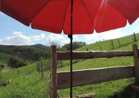 Naturpark Odenwald: Fewo im Bauernhaus mit Traumaussicht Hessen - Rimbach Vorschau