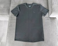 Puma Herren Sportshirt dry cell Gr S Tshirt T-Shirt Oberteil Spor Rheinland-Pfalz - Ingelheim am Rhein Vorschau