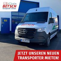 Mercedes-Benz Transporter/Sprinter mieten Rheinland-Pfalz - Herxheim bei Landau/Pfalz Vorschau