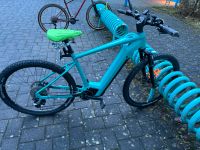 Focus Jarifa 6.7 E-Bike Rheinland-Pfalz - Hamm (Sieg) Vorschau