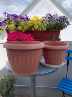 2x Topf-Set Blumentopf Garten Balkon Stuttgart - Stuttgart-Ost Vorschau