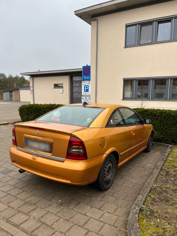 Opel Astra G Coupé Bertone in Neustrelitz