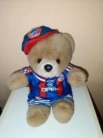 Teddy Teddybär Bayern München Nordfriesland - Südermarsch Vorschau