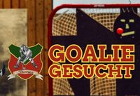 Torwart / Goalie Inlinehockey gesucht Bayern - Wendelstein Vorschau