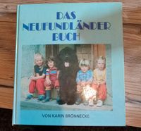 Karin Brönnecke Das Neufundländer Buch ❤️ Rarität Schleswig-Holstein - Tremsbüttel Vorschau