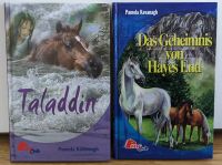 Pony Club - Pamela Kavanagh - Taladdin & Geheimnis von Hayes End Hessen - Darmstadt Vorschau