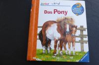 Wieso Weshalb Warum Junior "Das Pony" Hessen - Kriftel Vorschau