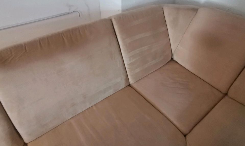 Schlafsofa und Sessel beige in Oberstenfeld