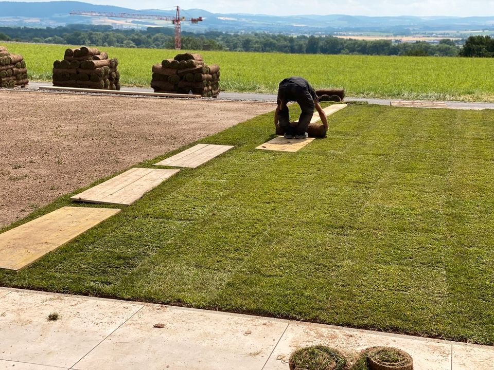 Baggerarbeit, Erdarbeiten, Gartenarbeit, Rollrasen in Fritzlar