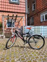 Prophete Fahrrad Niedersachsen - Bad Gandersheim Vorschau