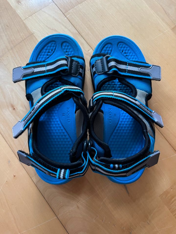 Geox Wasserschuhe, Badeschuhe, Sandalen, 31 in Frankfurt am Main