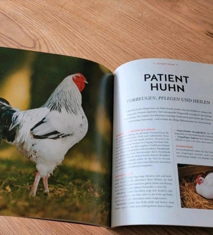 Neu*GU Ratgeber Hühner Basics, Hühnerhaltung für Anfänger,  Huhn in Blankensee