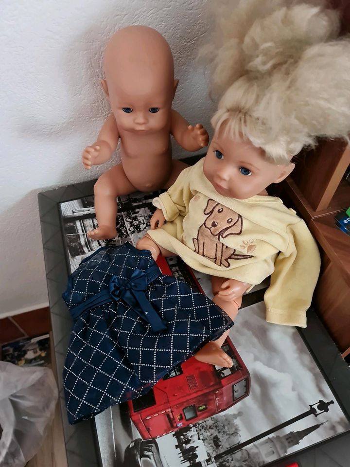 Barbie & Puppen in Cham