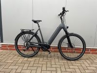 Stevens E-Triton Plus RH60 bis 180KG Bosch 625 E-Bike Leasing CX Niedersachsen - Jade Vorschau