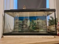 Aquarium 60L Friedrichshain-Kreuzberg - Kreuzberg Vorschau