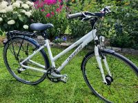 Fahrrad Diamant Deluxe City/Trekkingrad Rheinland-Pfalz - Gebhardshain Vorschau