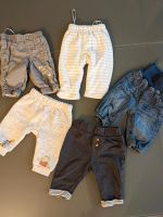 Babykleidung Hosen Niedersachsen - Salzgitter Vorschau