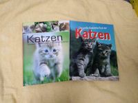 Katzen rassen Gesundheit zusammenleben große illustrierte Buch Nordrhein-Westfalen - Königswinter Vorschau