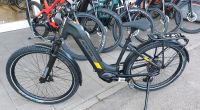 Ideal Ebike Prisma 610FX air ESUV Shimano EP6 630W Bayern - Stammham b. Ingolstadt Vorschau