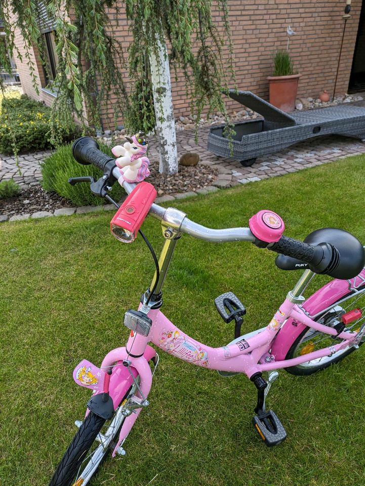 Puky Prinzessin Lillifee Kinderfahrrad in Verden